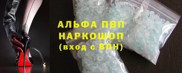 PSILOCYBIN Пересвет