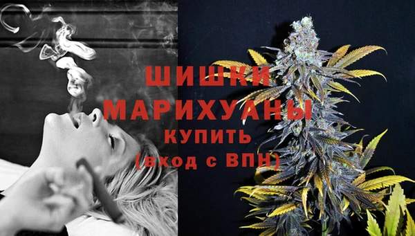 PSILOCYBIN Пересвет