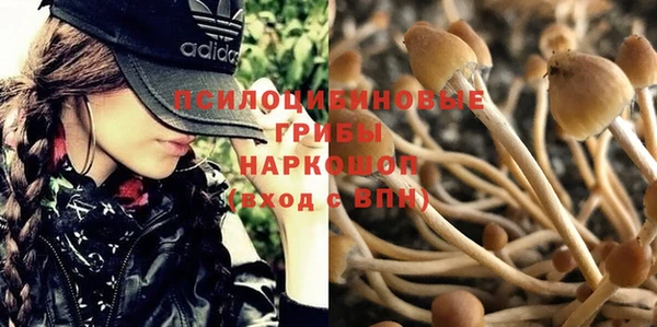 таблы Россошь