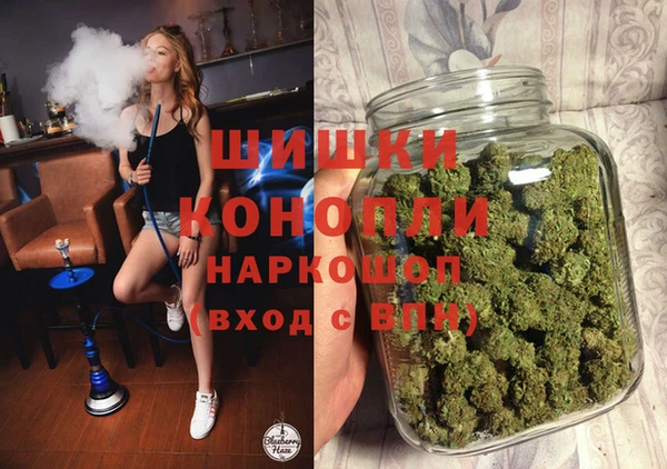PSILOCYBIN Пересвет