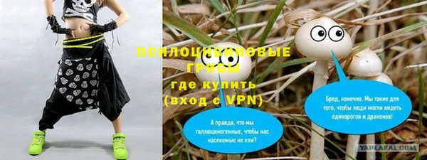 стаф Осташков