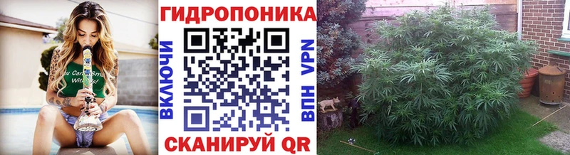 наркошоп  Адыгейск  blacksprut tor  МАРИХУАНА семена 